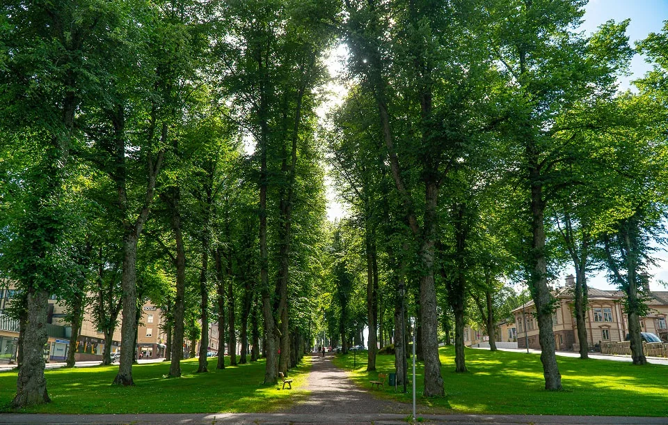 Loviisa
